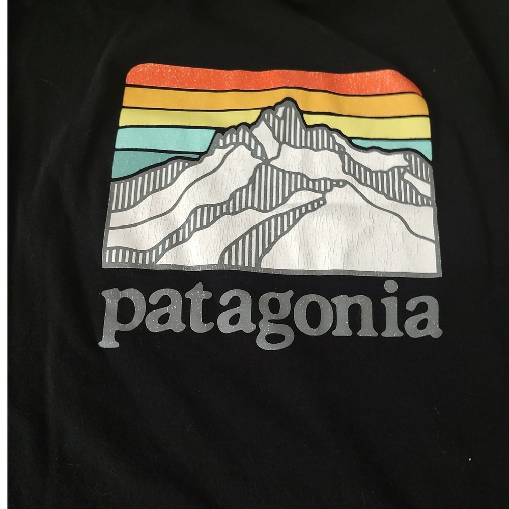 Patagonia Mens Responsibili-Tee Pocket Graphic T-Shirt Black Medium Regular Fit